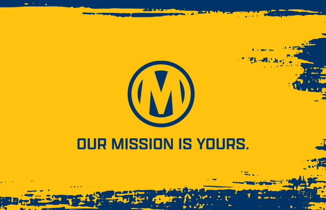 Waldhof Mannheim's 3. Liga 2024/25 Journey: Key Fixtures & Player Spotlight